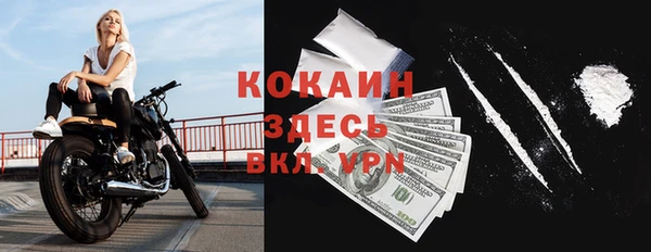 сатива Липки