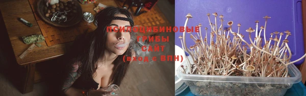 мдпв Лиски