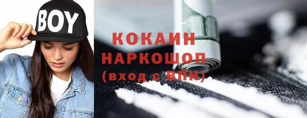 сатива Липки