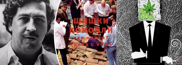 сатива Липки