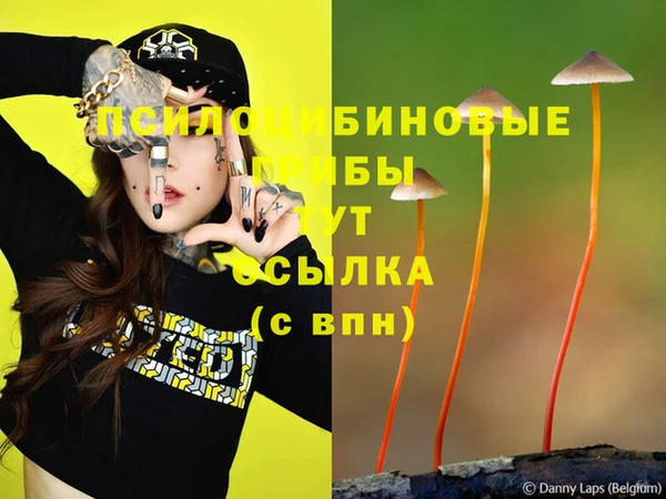 мдпв Лиски