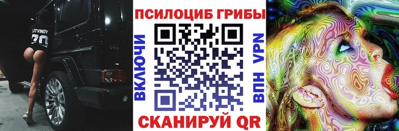 Псилоцибиновые грибы Psilocybe  Шарья 